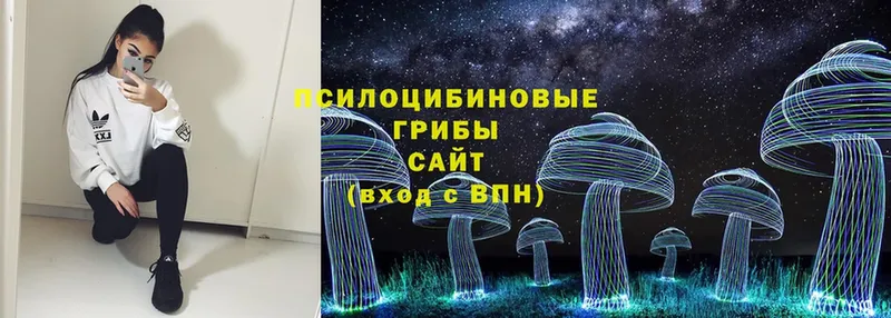 Галлюциногенные грибы Cubensis  Туймазы 